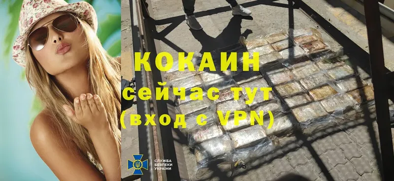 закладки  Краснозаводск  Кокаин VHQ 